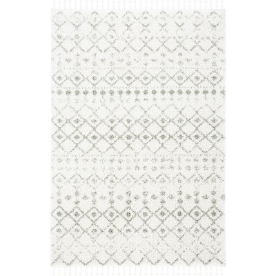 Berber Fringe Shag BFG516 Power Loomed Rug - Safavieh