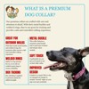 Country Brook Petz Premium Dog Collar - Geek Chic Collection - 2 of 4