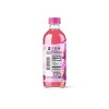 JuneShine Strawberry Dragon Fruit Kombucha - 16 fl oz - 3 of 3