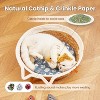 Potaroma Cat Toys Fish, 3 Pcs Crinkle Sound Catnip Toys Soft Linen - 3 of 3