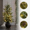 LuxenHome 4Ft Pre-Lit Green Artificial Pine Christmas Tree with Pinecones and Round Black Pot - 3 of 4