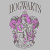 Mens Harry Potter and the Philosopher's Stone Hogwarts Gryffindor Lightweight Hoodie - 2 of 4