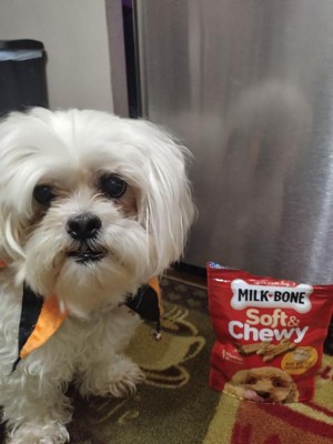 Guest review image 3 of 4, zoom in