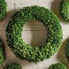 Plum & Post Boxwood Wreath 30" - 3 of 3