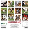 Willow Creek Press 2026 Bulldog Bad Boys Wall Calendar - 2 of 4
