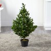 Nearly Natural 35-in Olive Cone Topiary Artificial Tree UV Resistant (Indoor/Outdoor) - 2 of 2