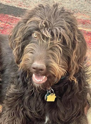 Guest review image 3 of 3, zoom in