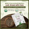 Organic Mullein Leaf Cut & Sifted 8 Oz - 3 of 4