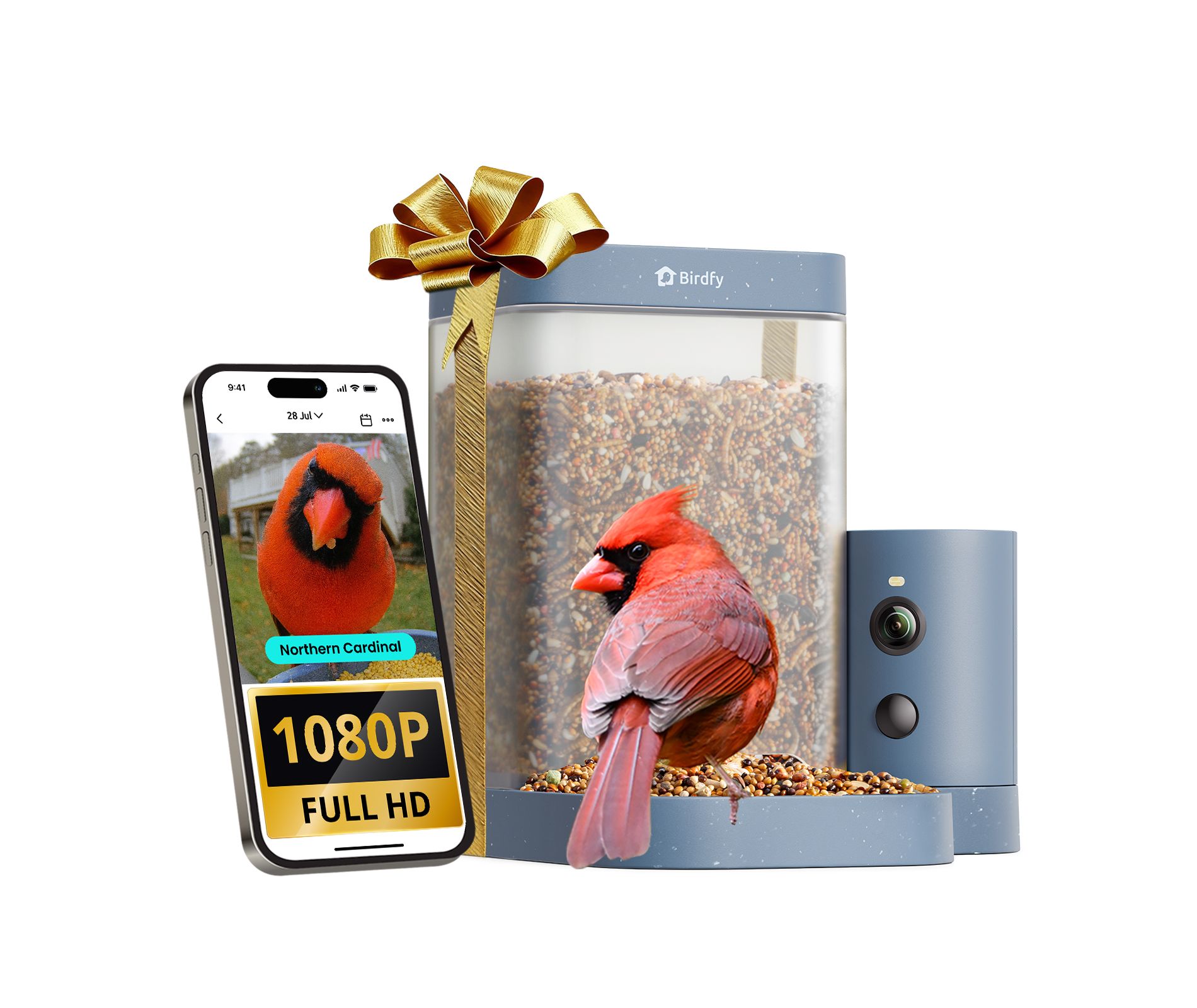 Birdfy Smart Bird Feeder Rookie - 1080P HD, 60FPS High-Frame Video for Slow-Motion Clips, AI Bird Recognition, Night Vision, Free Cloud Storage