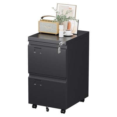 Aobabo 2 Drawer File Cabinet, Lockable Metal Filing Cabinet with Wheels for Home Office, Legal/Letter Size, Required Assembled,Black
