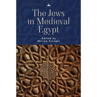 The Jews in Medieval Egypt - (Lands and Ages of the Jewish People) by  Miriam Frenkel (Paperback)