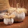5.5"H and 9.25"H Sullivans Plush Pumpkin With Raffia - Set of 2, Fall Decor, White - 3 of 3