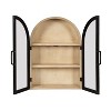 Kate & Laurel All Things Decor 21"x30" Arcott Arch Wall Cabinet Black - 3 of 4