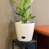 10" Round Self-Watering Indoor/Outdoor Bamboo Plant Pot - 4 of 4