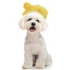 Unique Bargains Halloween Eye-catching Pet Headwear 1 Pc - 2 of 4