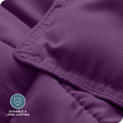 Plum Queen Ultra-Soft Microfiber Comforter Set - 3 Pieces