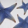 Beachcombers 13.77"H x 3.34"L x 15.35"W Sea Star Ceramic Sculptural Wall Art Décor Set of 3 - 3 of 4