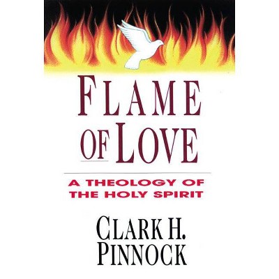 Flame of Love - by  Clark H Pinnock (Paperback)