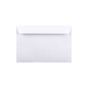 JAM Paper 6 x 9 Booklet Commercial Envelopes White Bulk 250/Box (4238h) 4238H - 1 of 4