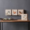 Melrose Rustic Wood Bird Plaque (Set of 4) - 4 of 4