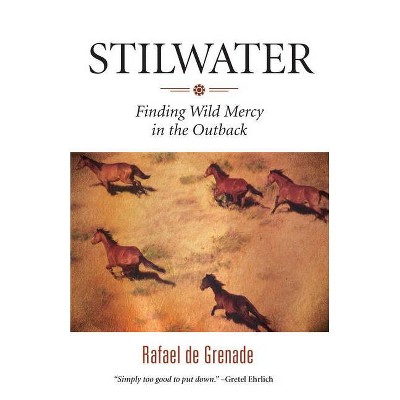 Stilwater - by  Rafael de Grenade (Paperback)