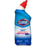 Clorox Toilet Bowl Cleaner Rain Clean - 24 fl oz