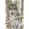 Dimensions Stamped Cross Stitch Kit 9"X14"-Wintry Wolf - 2 of 2