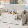 Storage Chest Wooden Toy Storage Bench, Modern Style Lift-Top Toy Chest with Safety Hinge for Entryway Supports 300 Lb - 2 of 4