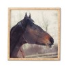 12" x 12" Chelsea Victoria The Watchmen Bamboo Framed Wall Art - Deny Designs: Eco-Friendly, Modern Decor, Animal Subject - 4 of 4