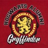 Harry Potter Gryffindor Slyttherin Ravenclaw Hufflepuff Fleece Pullover Hoodie Toddler to Big Kid - 3 of 4