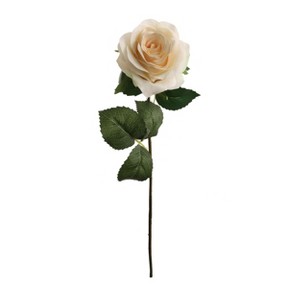 Floral Home 20" Champagne Open Rose - 48-Piece - 1 of 2