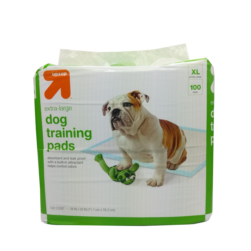Puppy and Adult Dog Training Pads - XL - 100ct - up & up™