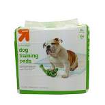 Puppy Training Pads - XL - up & up™