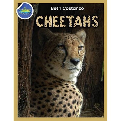 Cheetah Activity Workbook ages 4-8 - by  Beth Costanzo (Paperback)