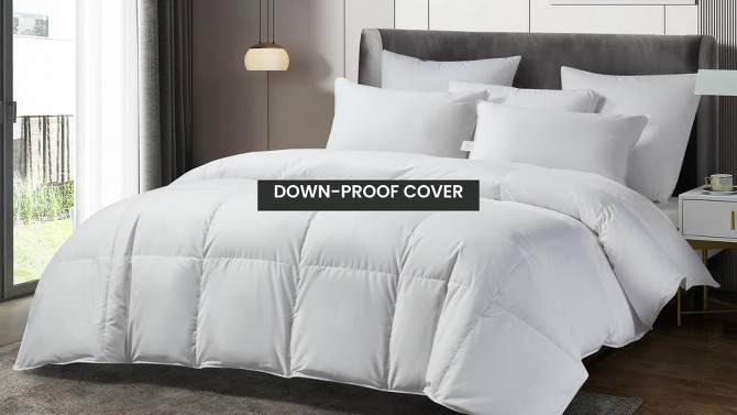Light Warmth Cotton Blend RDS Down Comforter - Beautyrest, 2 of 9, play video