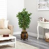 Nearly Natural 4.5-ft Black Olive Artificial Tree in Decorative Planter - 4 of 4