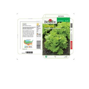 Burpee Lettuce Leaf Black Seeded Simpson Vegetable Seeds - 1 of 1