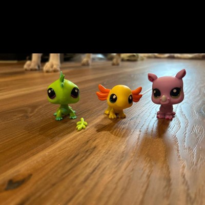 Littlest Pet Shop 3pk Collectible Figures - Llasa Opso, Cat, Fancy Bird :  Target
