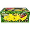 Skill 2 Model Kit 1965 Ford Galaxie "Jolly Green Gasser" 3-in-1 Kit 1/25 Scale Model by AMT - 2 of 4