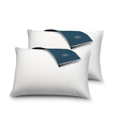 Queen Size Blue Hypoallergenic Down Alternative Pillow Set