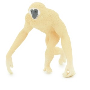 Collectible Wildlife Gifts | Gibbon, Lesser Ape, Hand Painted, Educational, Rubber Primate, Realistic Figure, Lifelike, Gift,    2"    SF62 B16 - 1 of 4