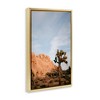 Stupell Industries Joshua Tree & Canyon Floating Frame Canvas Art - 2 of 4