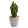 Nearly Natural 8" x 3.5" 3pc Artificial Cactus Plant Set: Indoor Faux Succulent Decor, Styrofoam Filler, Plastic Pot - 2 of 4