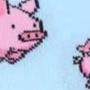 flying pigs