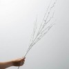 36"H Sullivans Artificial Christmas White Frosted Branch Spray, Indoor Christmas Decor - 4 of 4