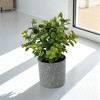 Unique Bargains Artificial Plants Plastic Flower Pot Plastic 3.15"x3.15"x7.87" 1 Pcs - 2 of 4