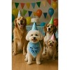 Parisian Pet 'Birthday Boy' Dog Bandana – Happy Birthday Pet Outfit, Fun Party Scarf for Dogs & Cats, Stylish & Comfy Celebration Clothing, Blue - 3 of 3
