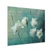 Trademark Fine Art Mike Kreiten Crowns of Thorns Wood Slat Art - 2 of 4