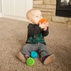 Fat Brain Toys Baby and Toddler Learning Sensory Rollers - Set of 3 Spheres - image 3 of 3