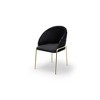 Onyx Modern Style 2PC Chairs made with Velvet fabric and Gold coated metal Legs - Black - 4 of 4